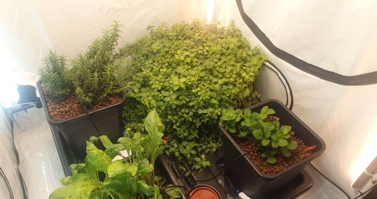 How to Cool a Grow Tent/Room?