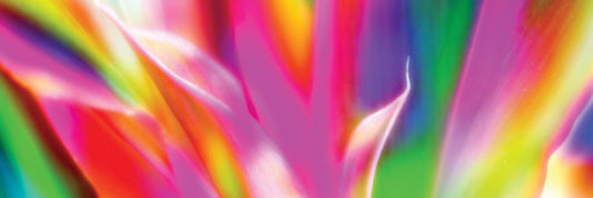 How does the colour of light effect plant growth
