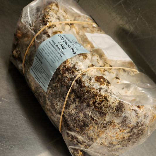 Fleur de Fungi  Co2 Boost Bag 2.4 kg Bags