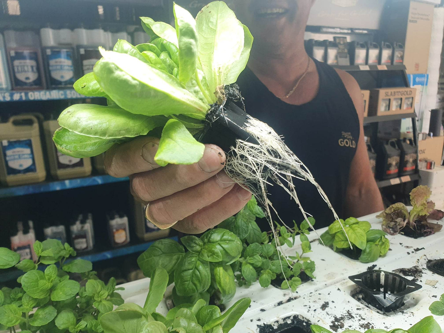 CUSTOM HYDROPONIC BUILD ENQUIRY