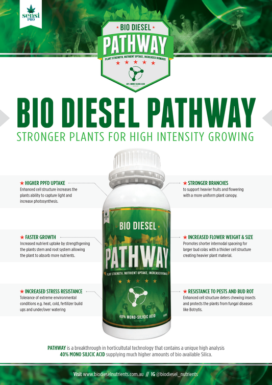 Bio Diesel  Pathway 40% Mono Silicic Acid  250ml