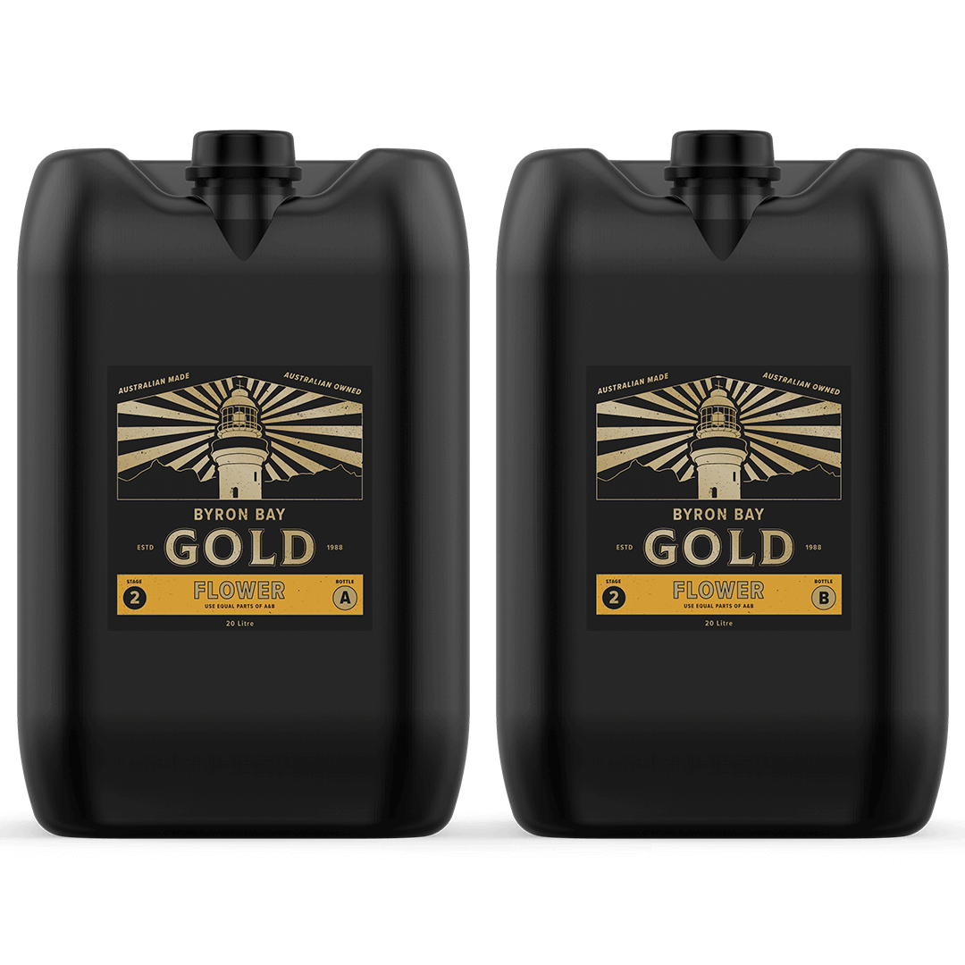 FLOWER 20L | Byron Bay Gold