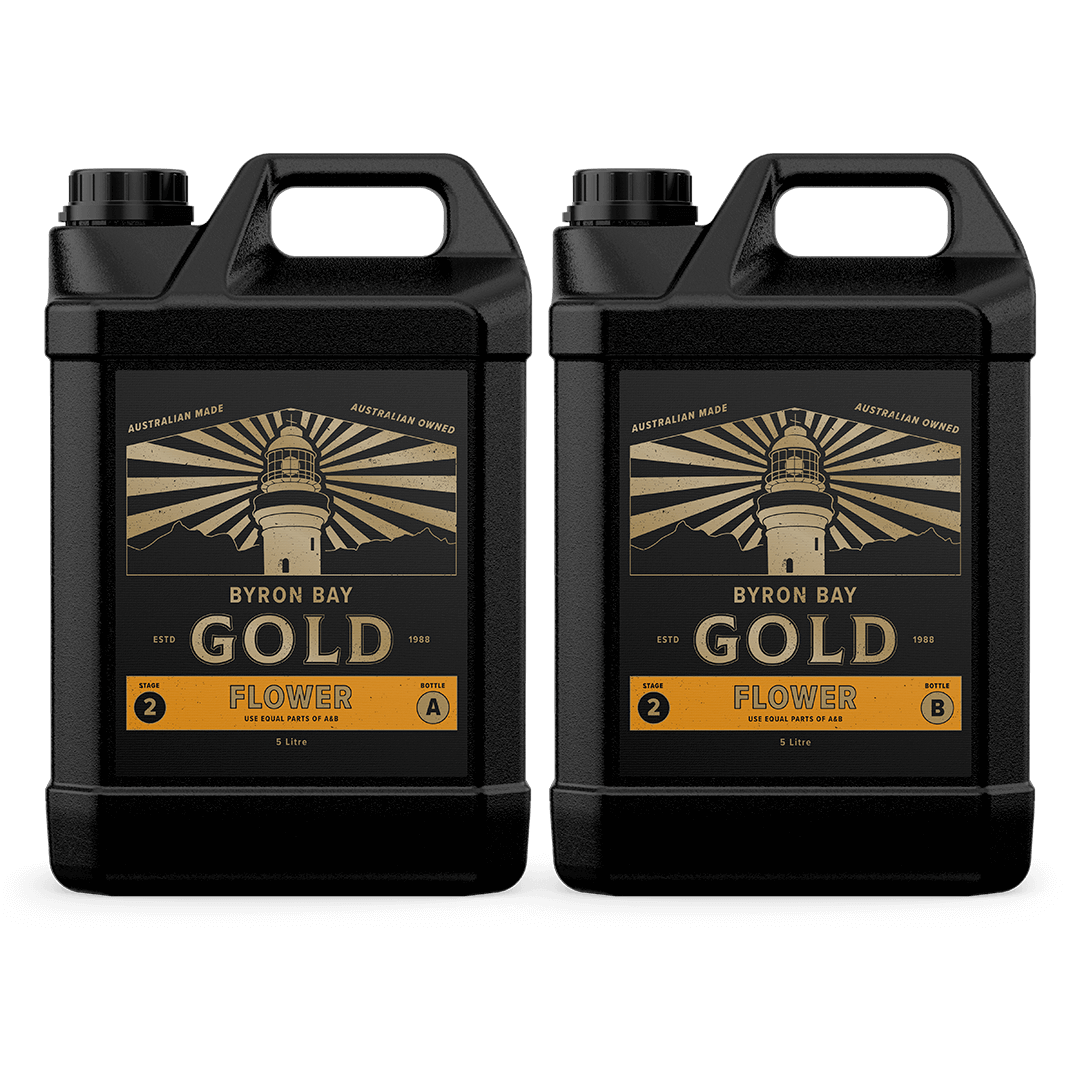 FLOWER 5L | Byron Bay Gold