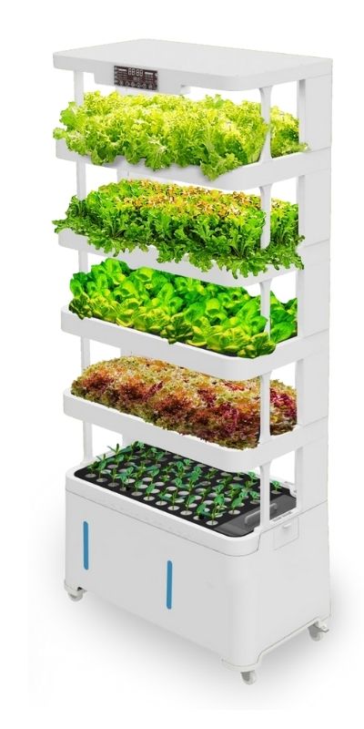 LaNiTex Hydroponic system: Indoor Hydroponic Vegetable Garden V5.2-A