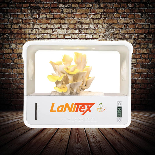 LaNiTex Smart Mushroom Growing Box