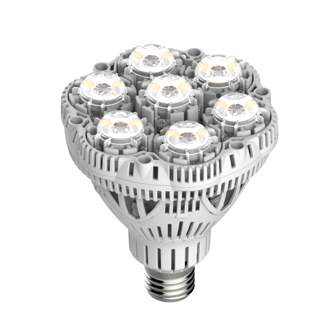 Empyrean Grow Globe 36W