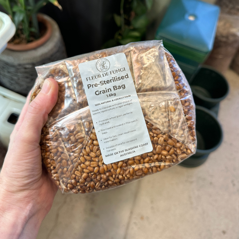 Fleur De Fungi Pre-Sterilised Wheat Grain Bag – 1.6 kg