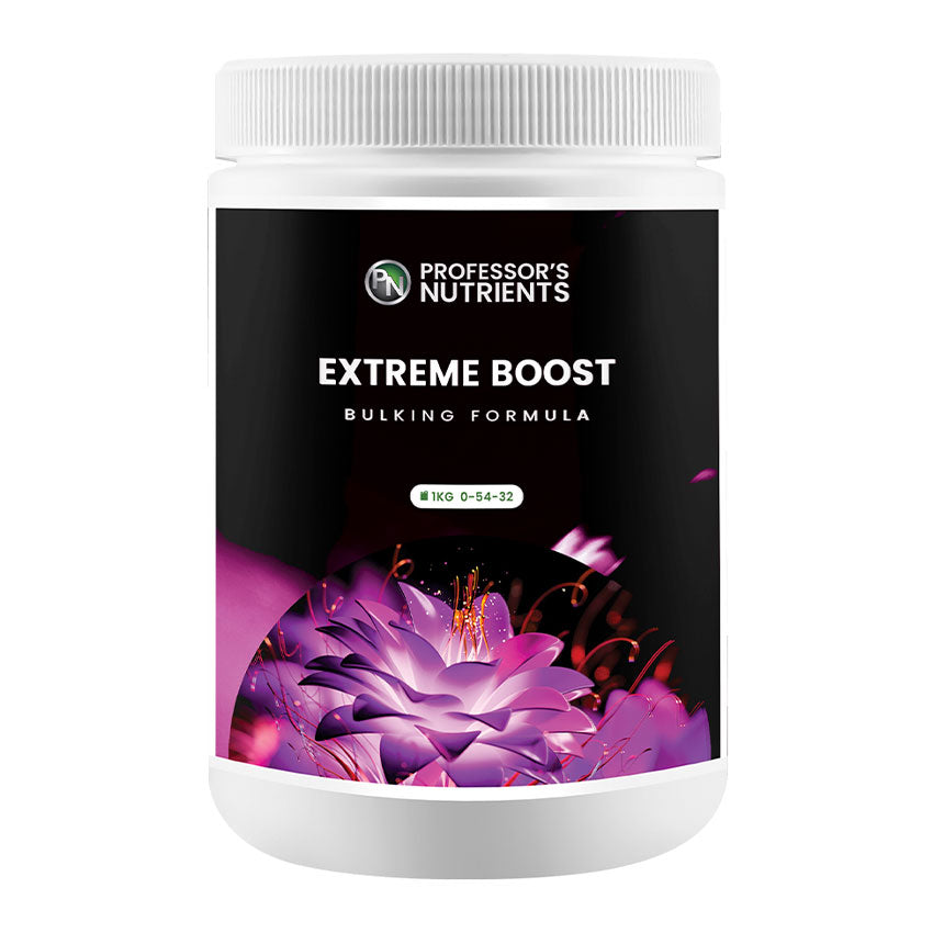 PROFESSOR’S EXTREME BOOST 1KG