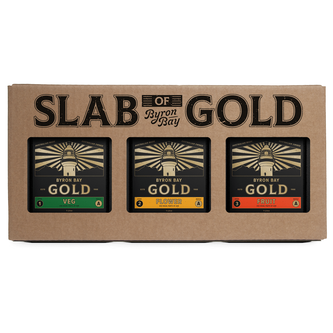 SLAB | Byron Bay Gold