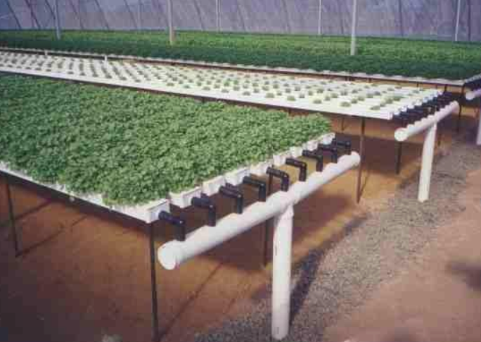 Hydroponic Channel + Lid - 225X80mm