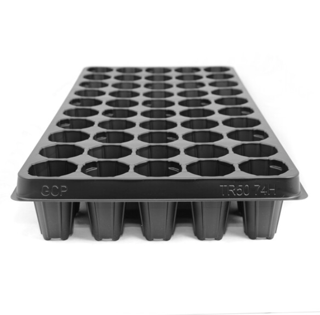 50 Cell Seedling Plug Tray - 535x285x74mm