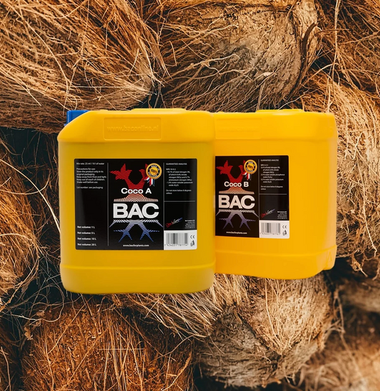 BAC Coco A+B