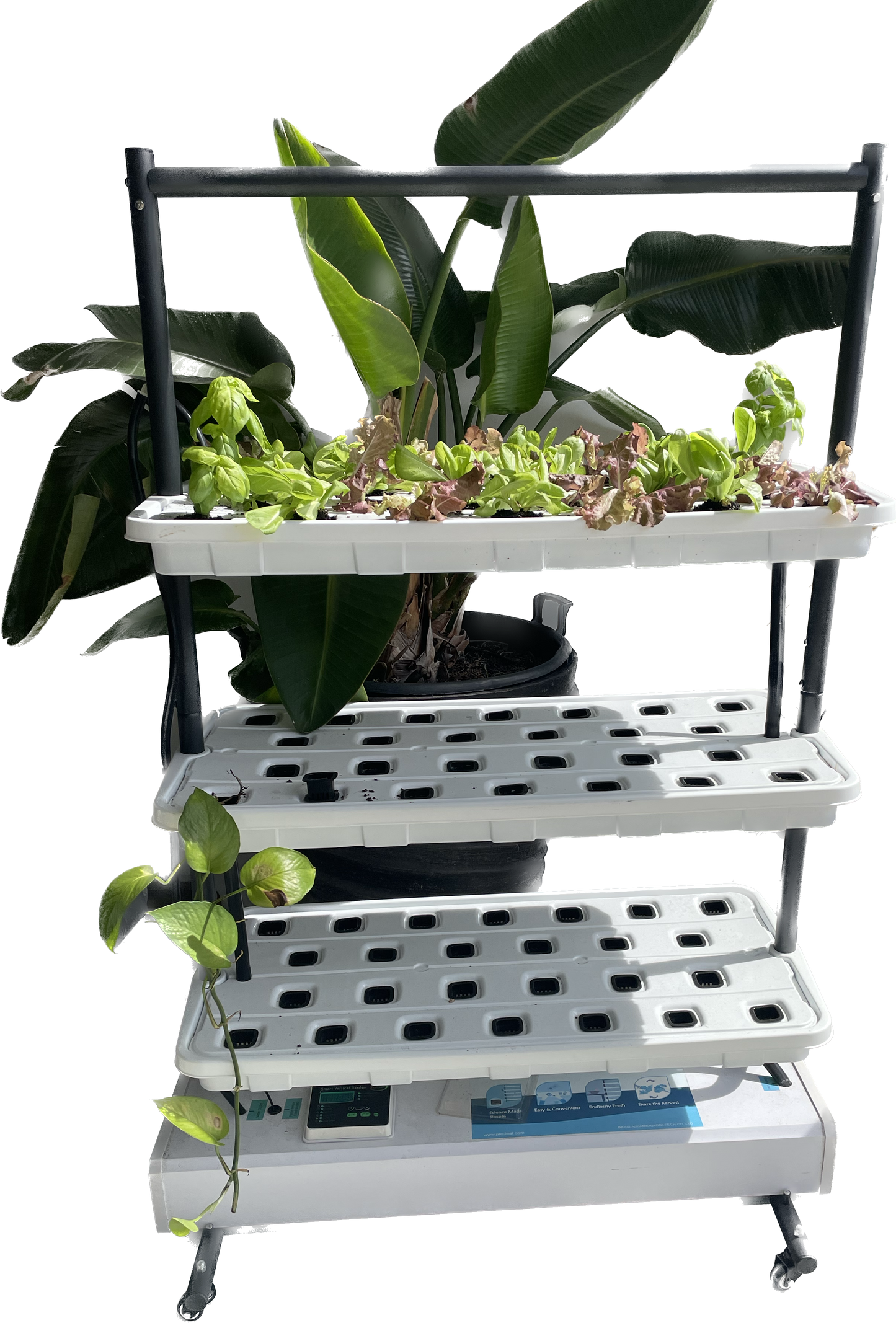 PRO LEAF SMART VERTICAL HYDROPONIC GROW SYSTEM 1600x900 | BUILT-IN IRRIGATION TIMER | NO LED