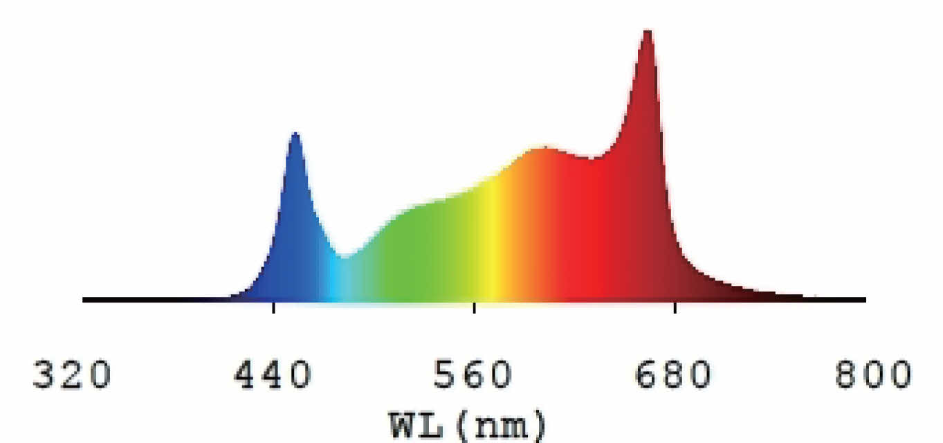 Ulight 720 Watt Split Led