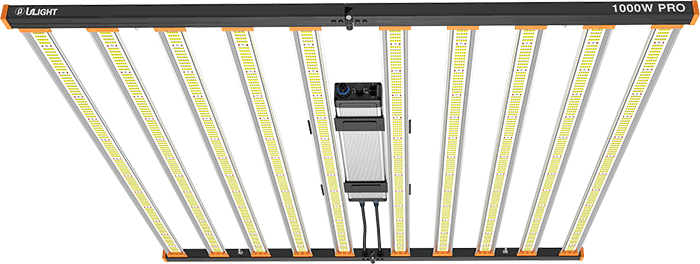 1000 Watt 10-Bar LED