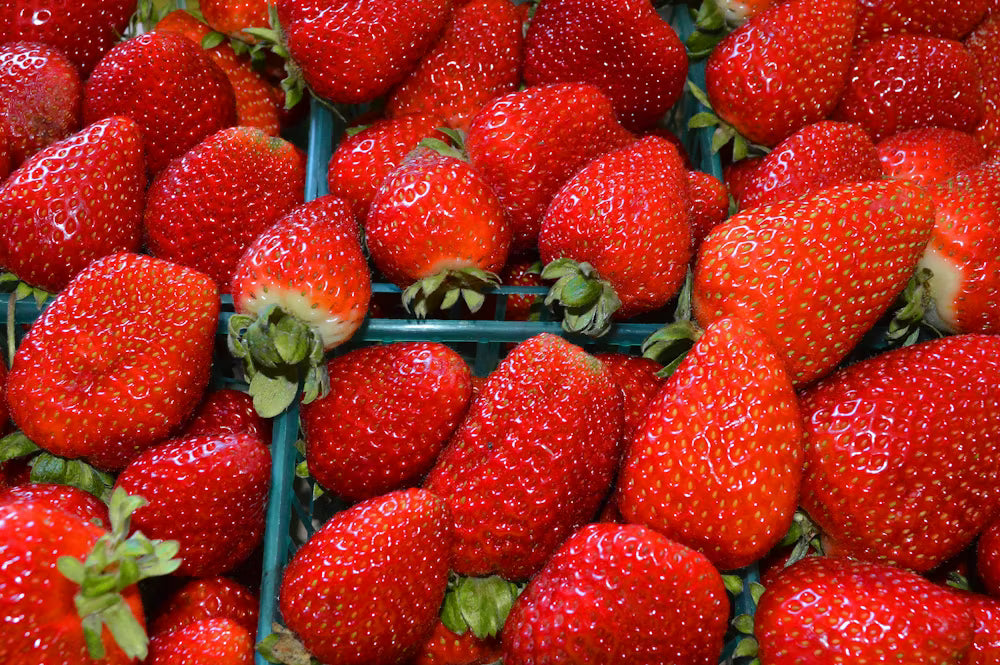 Home Hydroponics Nutrient - Strawberries, Raspberries, Blueberries