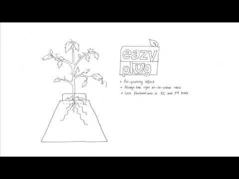 Eazy Plug Mini Pyramid