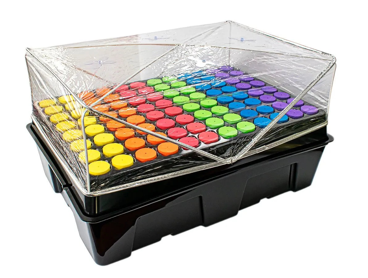 SeaHawk Clone Station 96 Cutting spaces