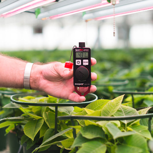 SPOTON QUANTUM PAR METER