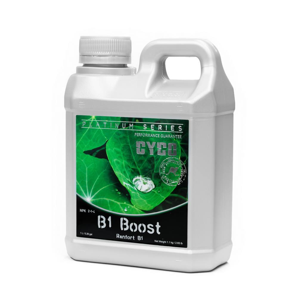 Cyco B1 Boost