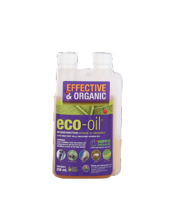 ECO OIL 250ml