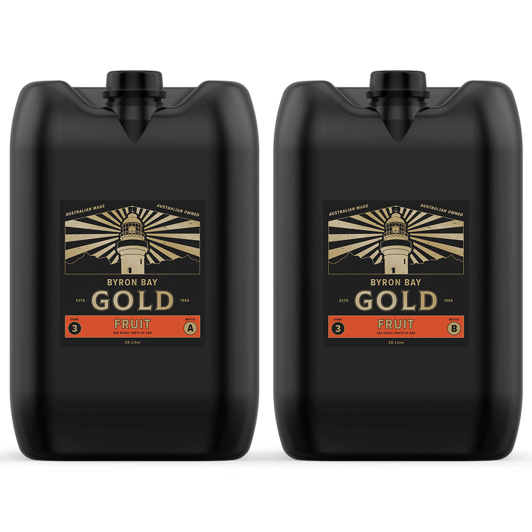 FRUIT 20L | Byron Bay Gold