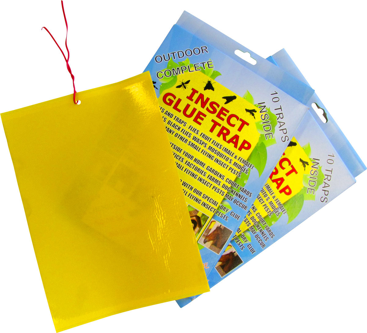 Insect Glue Traps