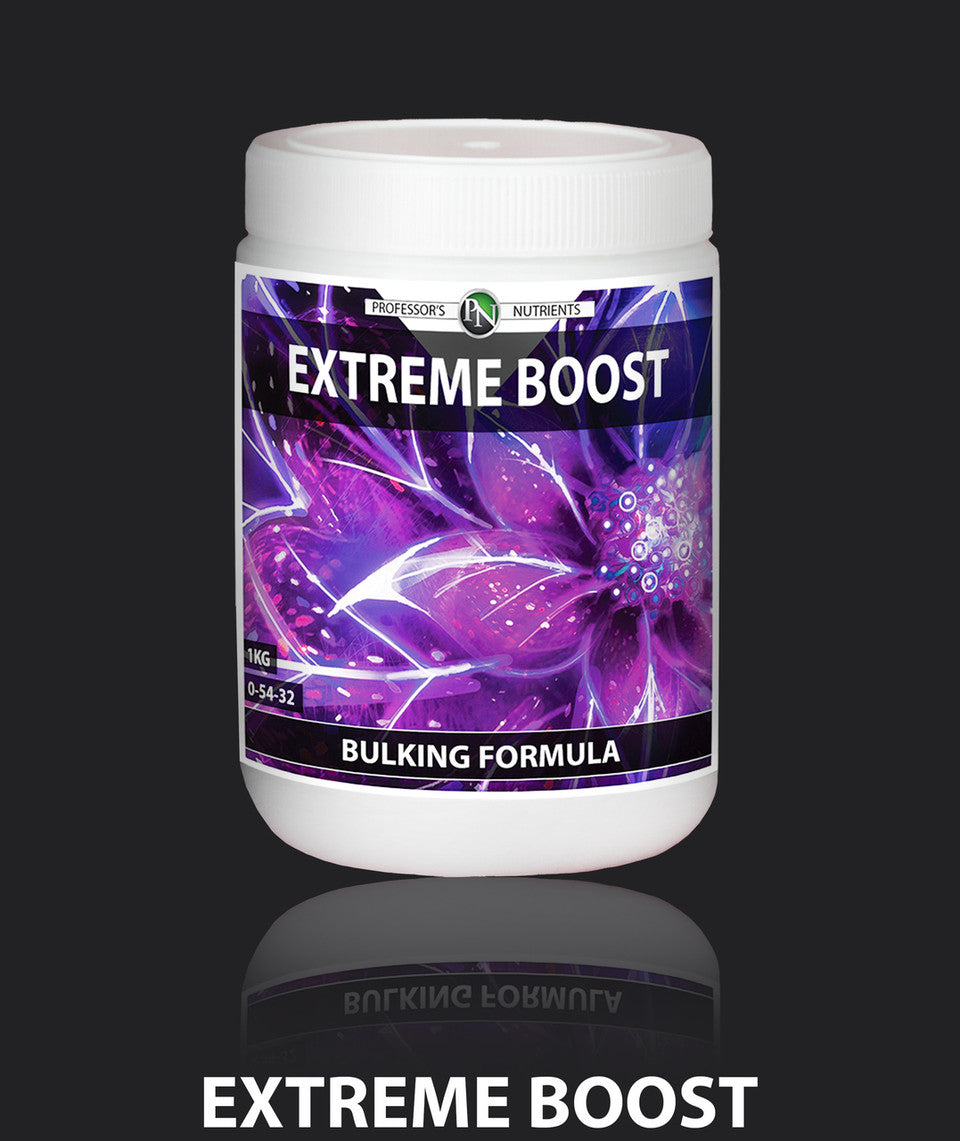 PROFESSOR'S EXTREME BOOST 500 GRAMS