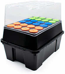 SeaHawk Clone Station 24 Site (4209)