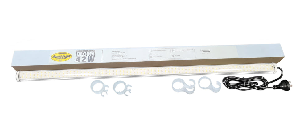 T - LED LIGHT BAR 42 WATT BLOOM 3000K by Power Plant