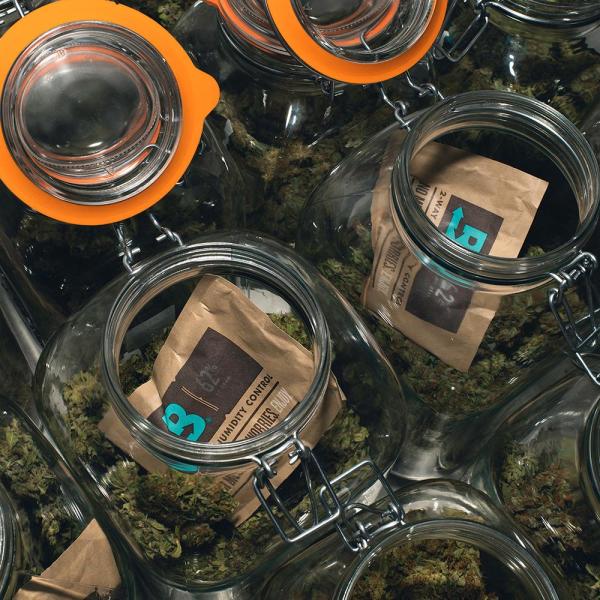BOVEDA Medium - Humidity Control Pack - 62%, 67 gram (Size 67)