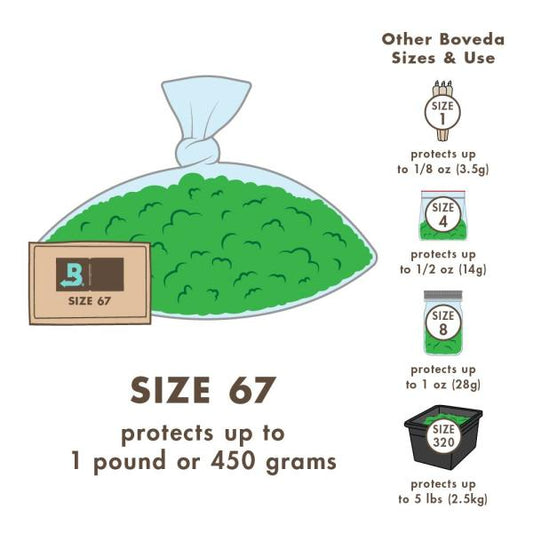 BOVEDA Medium - Humidity Control Pack - 62%, 67 gram (Size 67)