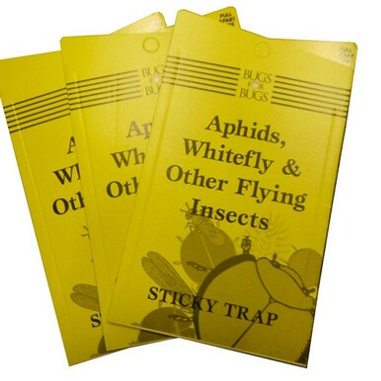 BUGS4BUGS YELLOW STICKY FLY TRAPS