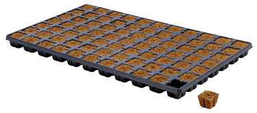 Eazy Plug Tray (77 Plugs) CT77