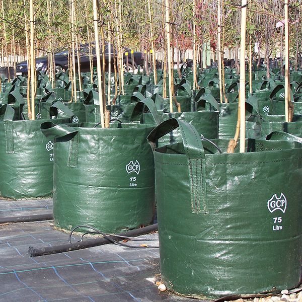 100ltr Woven Bag (510 x 500) GREEN