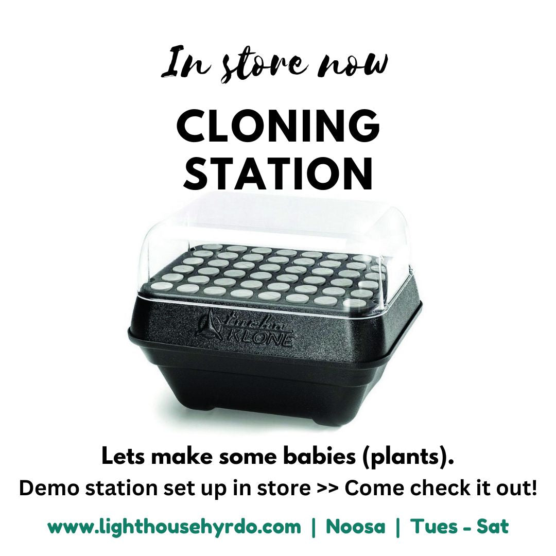 Clone Plants using a Cloning Device