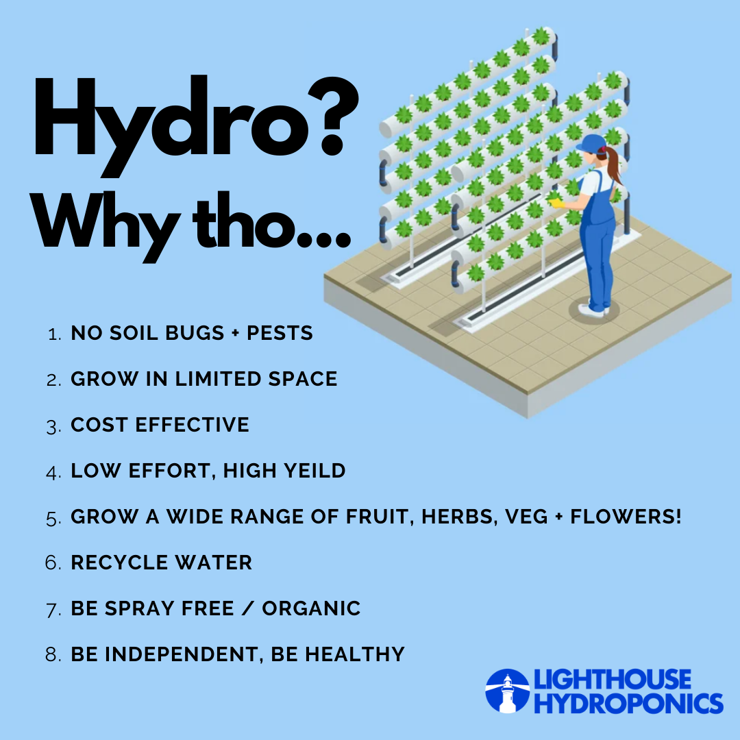 Getting Started with Hydroponics