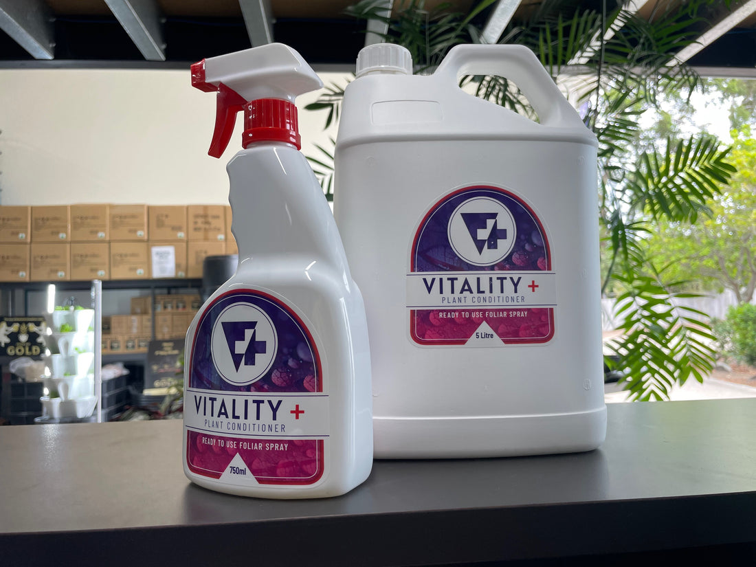 How to use Vitality Plus - Ready to Use, Plant Conditioner