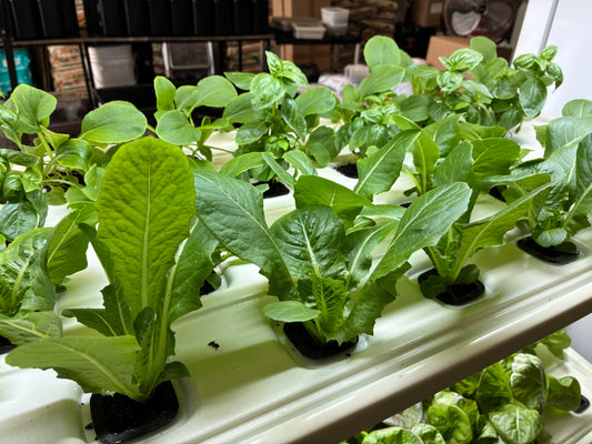 Preparing for the SUMMER ahead!