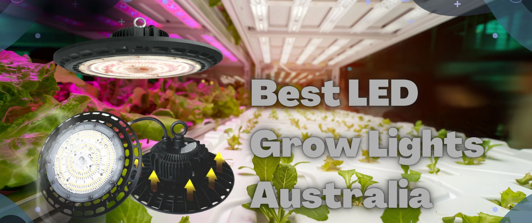 Finding the right Lighting for your Hydroponic System 💡