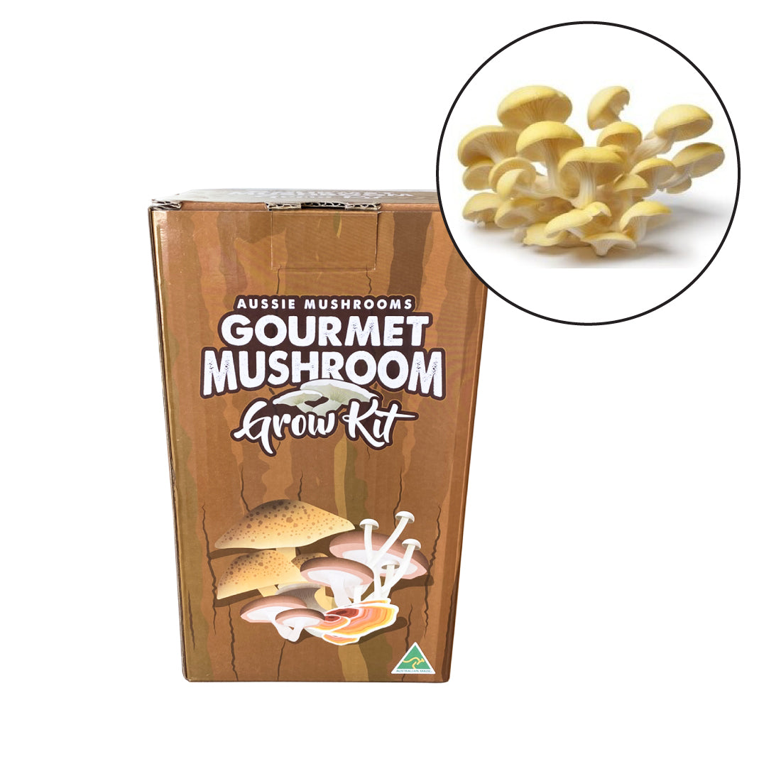 Aussie Mushroom - Ready To Grow Kit - Yellow Oyster