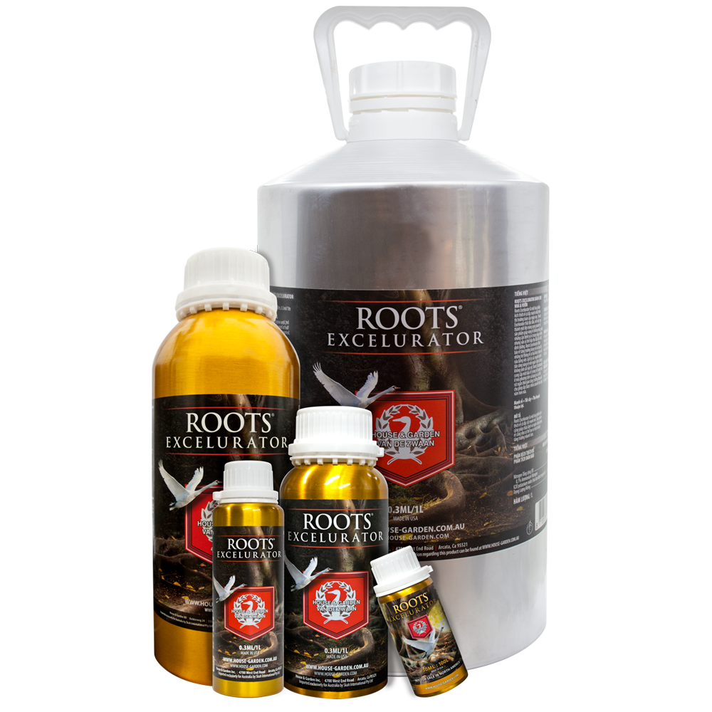 HOUSE & GARDEN ROOTS EXCELURATOR 250ML