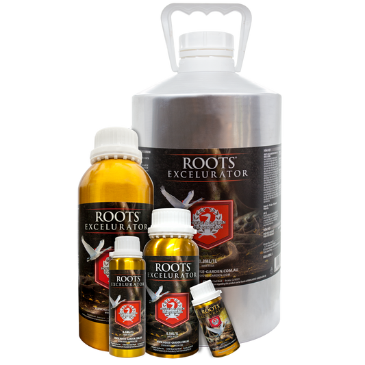 HOUSE & GARDEN ROOTS EXCELURATOR 250ML