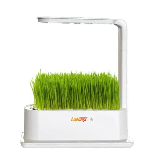 LaNiTex Hydroponic Desktop Grow Box