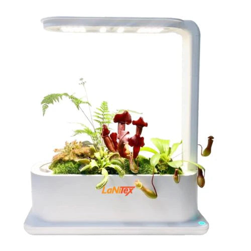 LaNiTex Hydroponic Desktop Grow Box