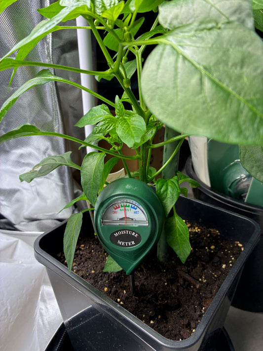 Moisture Meter   (No Batterys Required)