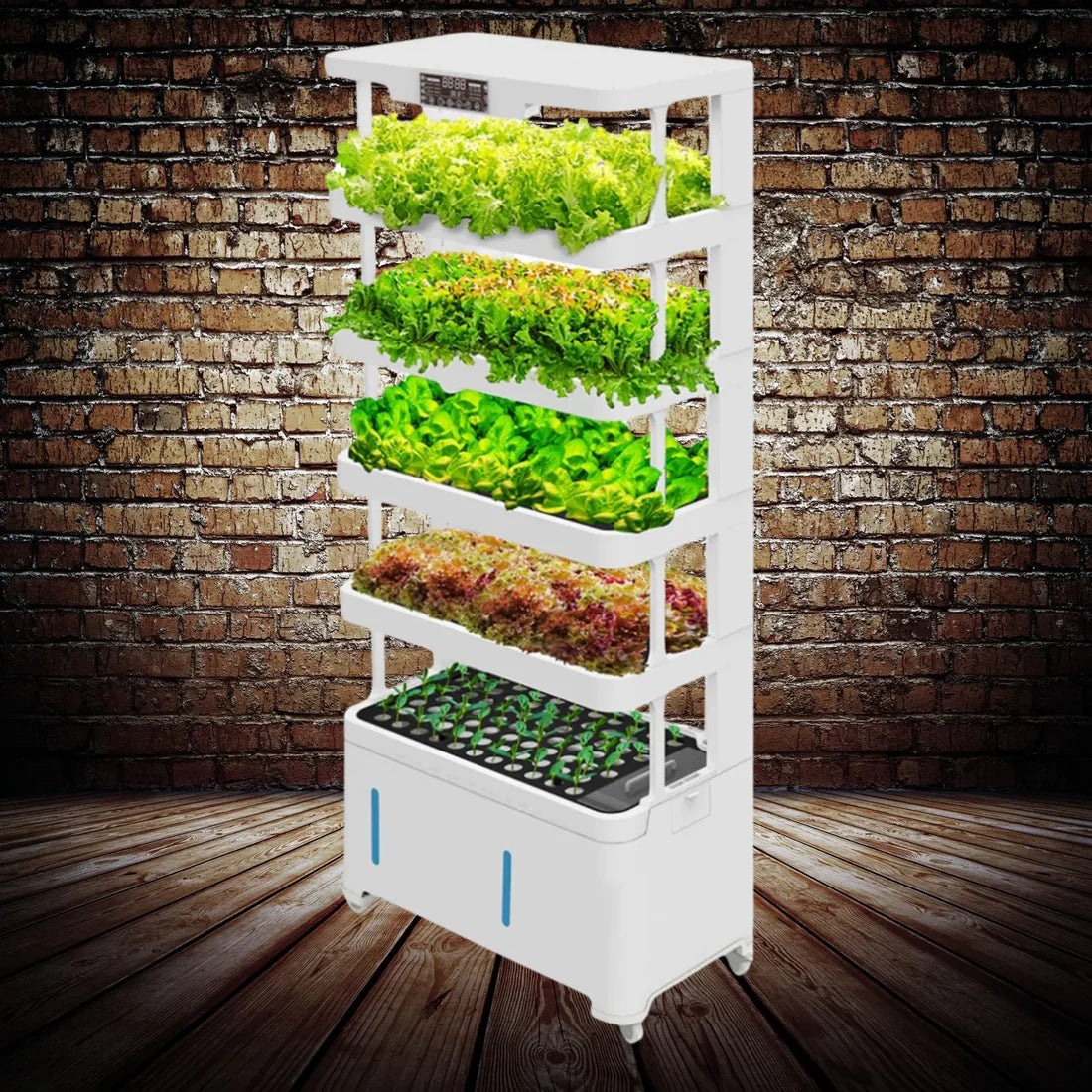 LaNiTex  Hydroponic system: Indoor Hydroponic Vegetable Garden V5.2-A