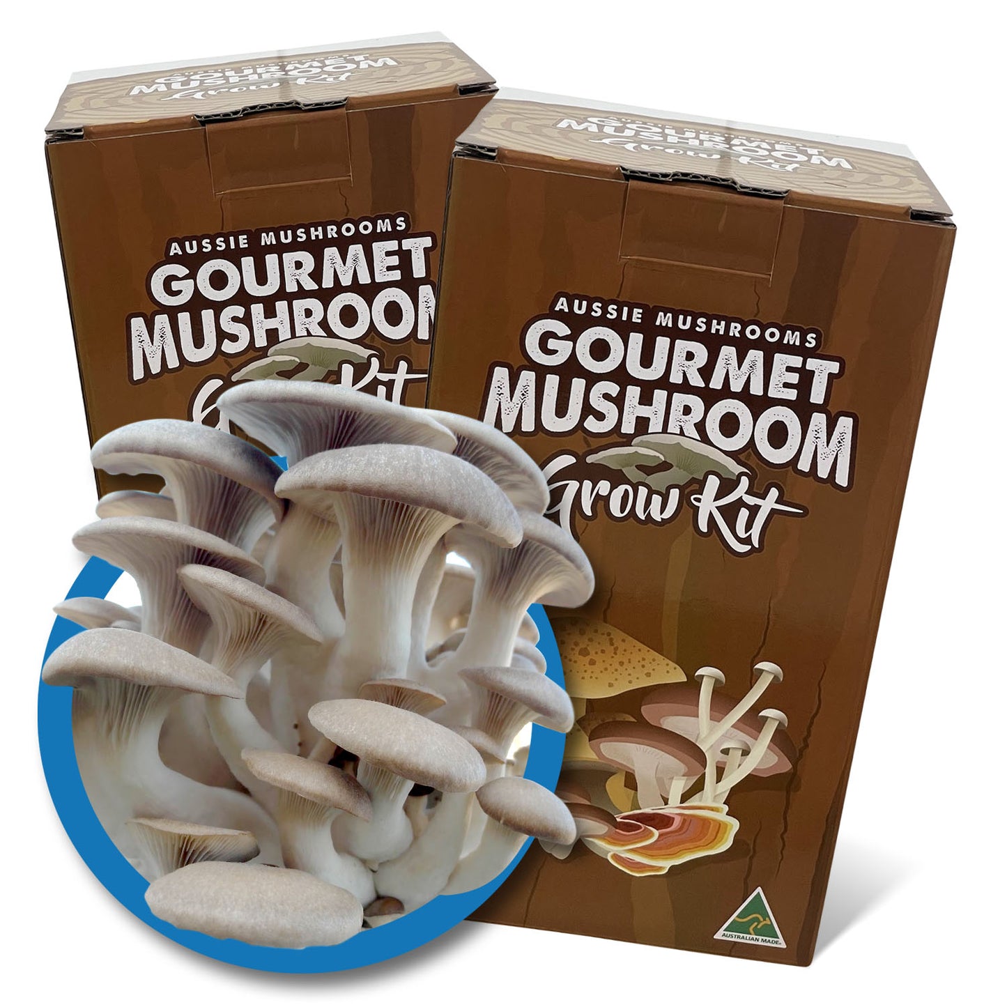 King Oyster - Edible Aussie Mushroom Grow Kit Gourmet