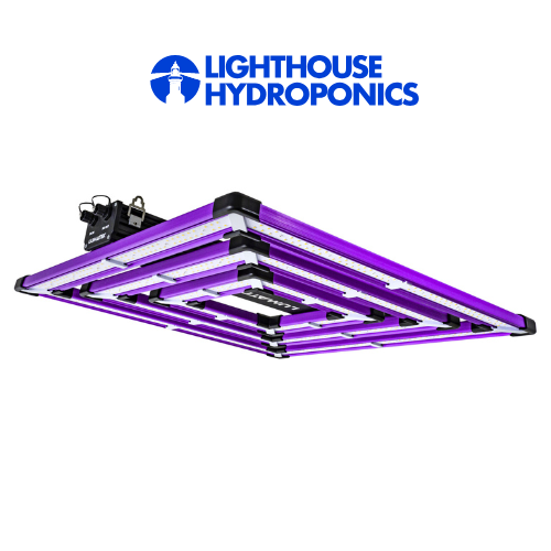 LUMATEK ATS 300w Pro Led