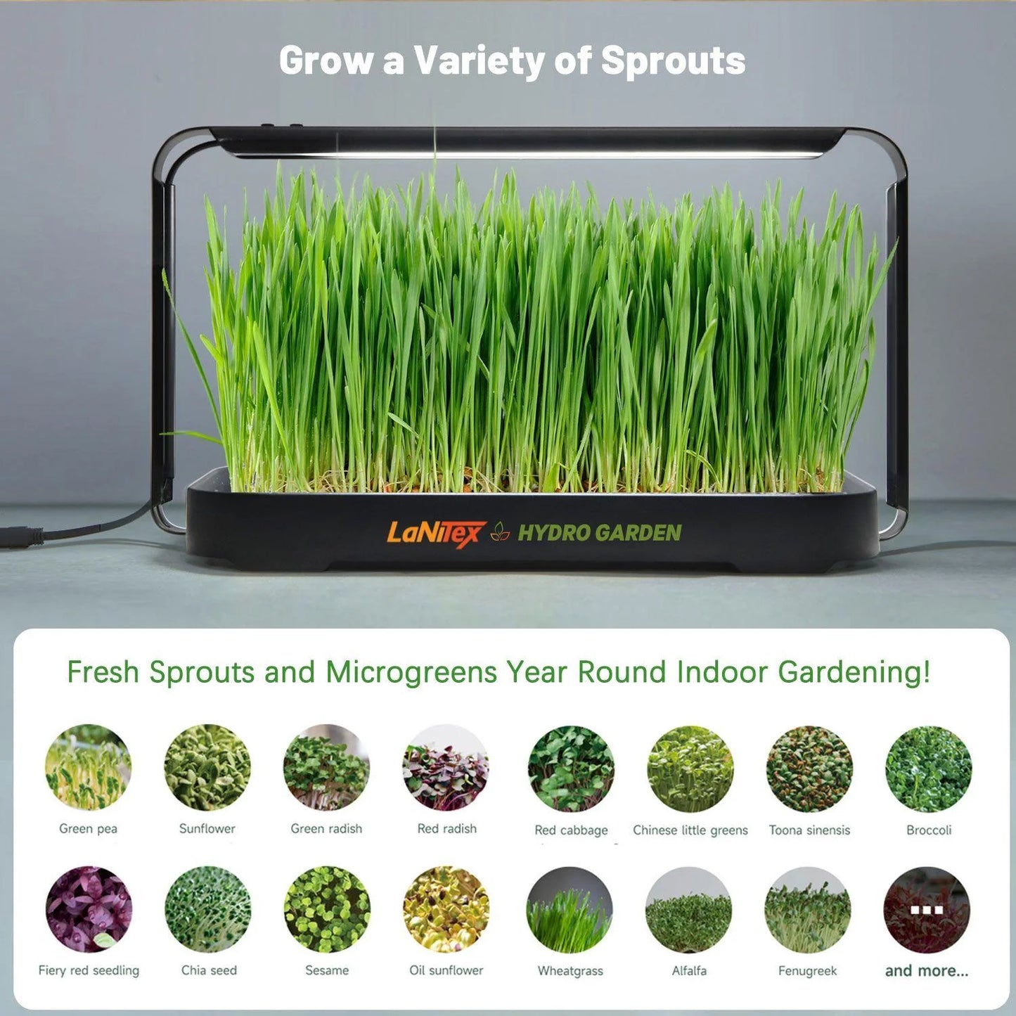LaNiTex Smart Microgreen Kit black metal style